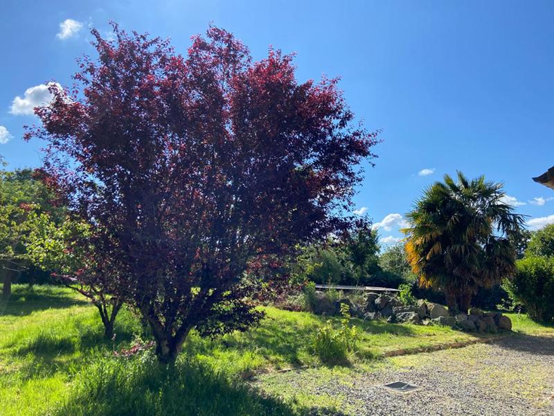 Longère - 230 m² - 9 pièces