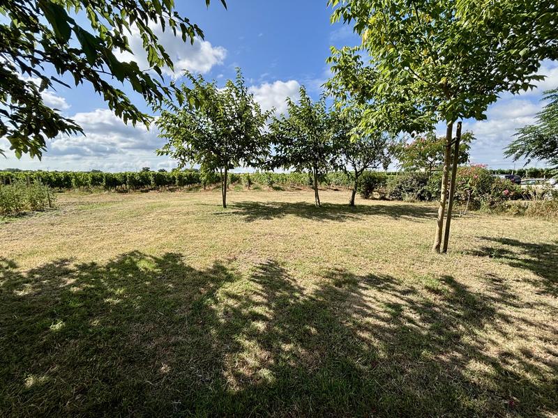 Maison en pierre - 200 m² - 6 pièces