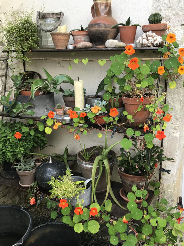 Maison traditionnelle - 200 m² - 6 pièces