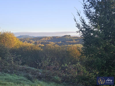 Maison ancienne - 306 m² - 2 pièces
