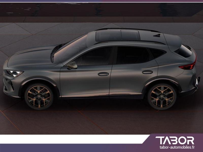 Cupra Formentor Vz 2.0 Tsi 333 4Drive Led Cam