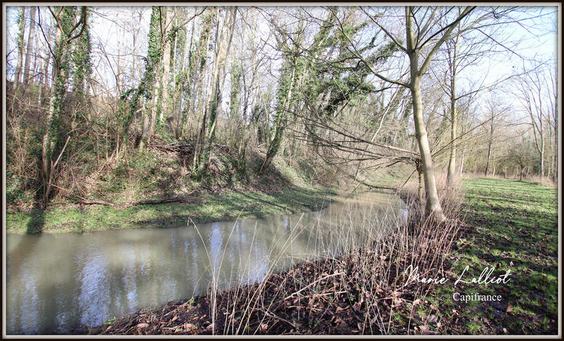 Maison - 343 m² - 12 pièces