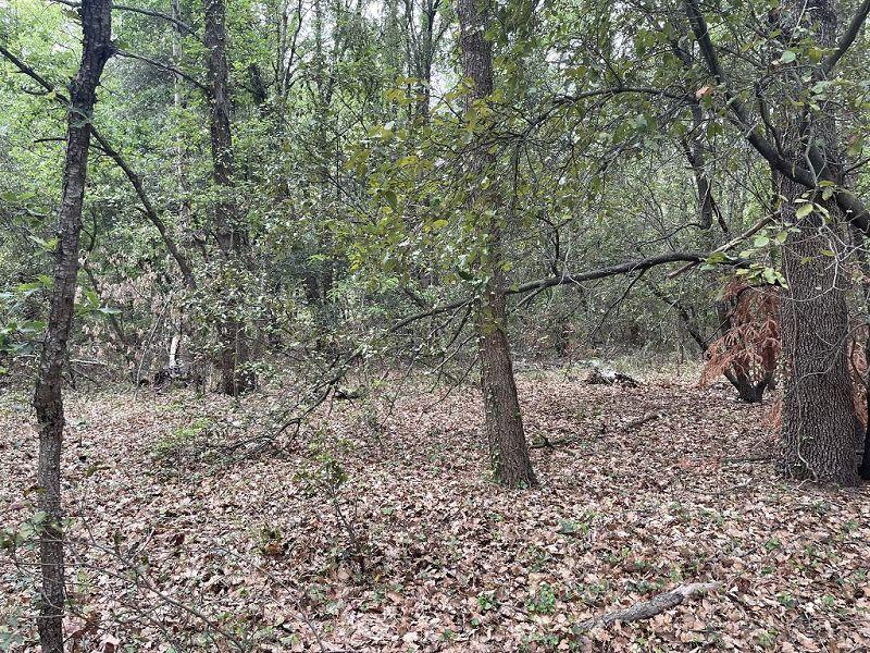 Terrain - 25 400 m²