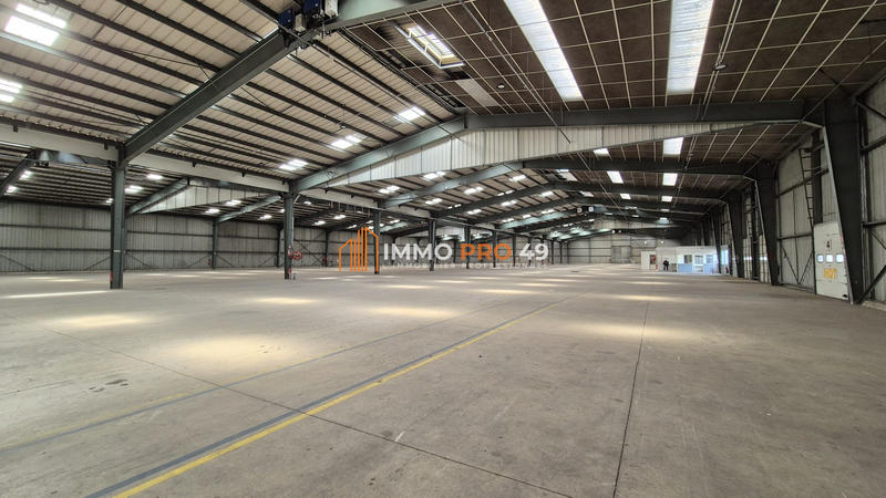 Entrepôt - 9 500 m²