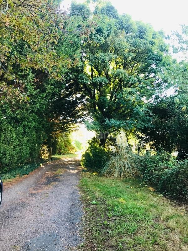 Terrain constructible - 9 346 m²