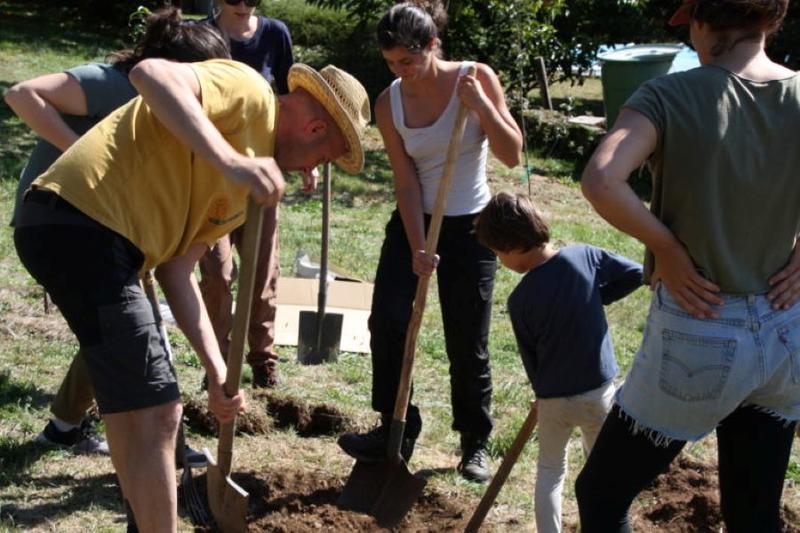 Plantations d'arbres à Espédaillac