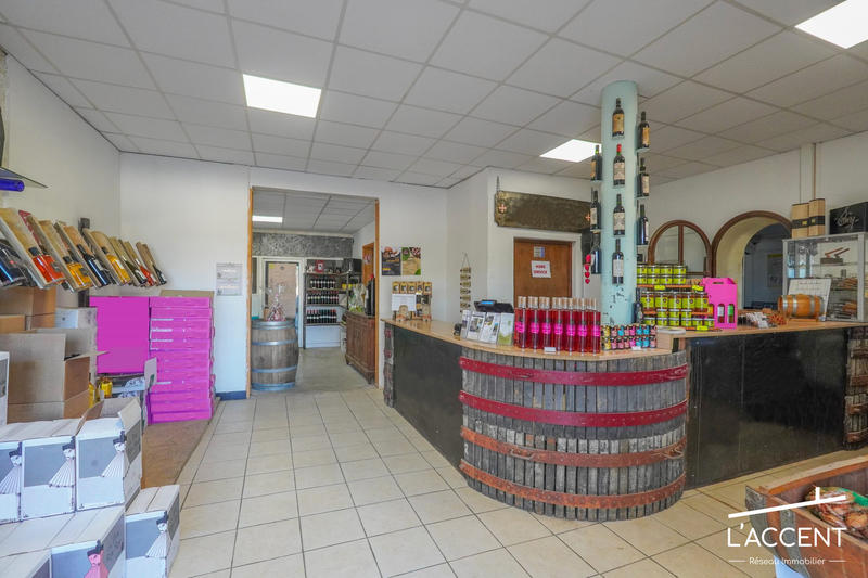 Château - 3 038 m² - 55 pièces