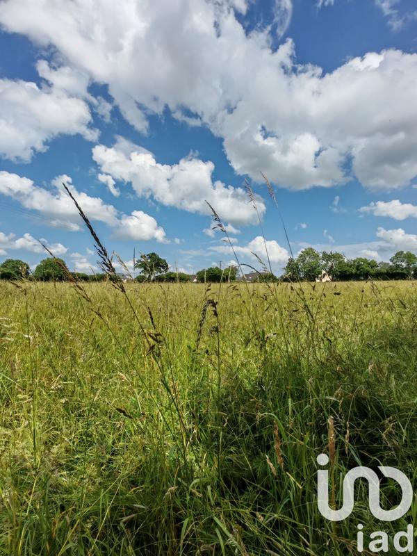 Terrain - 31 982 m²