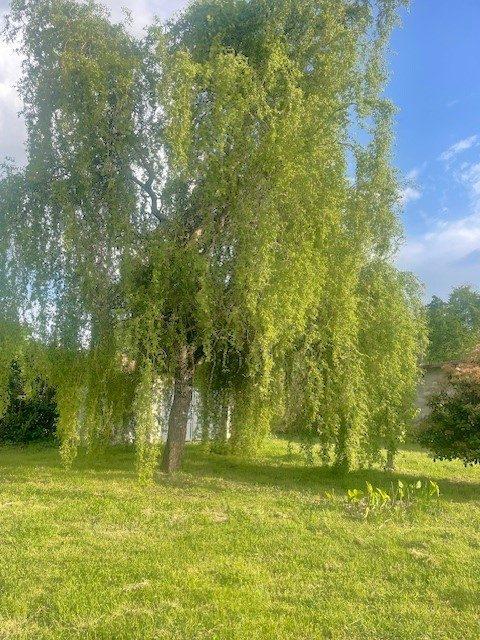 Maison - 180 m² - 8 pièces