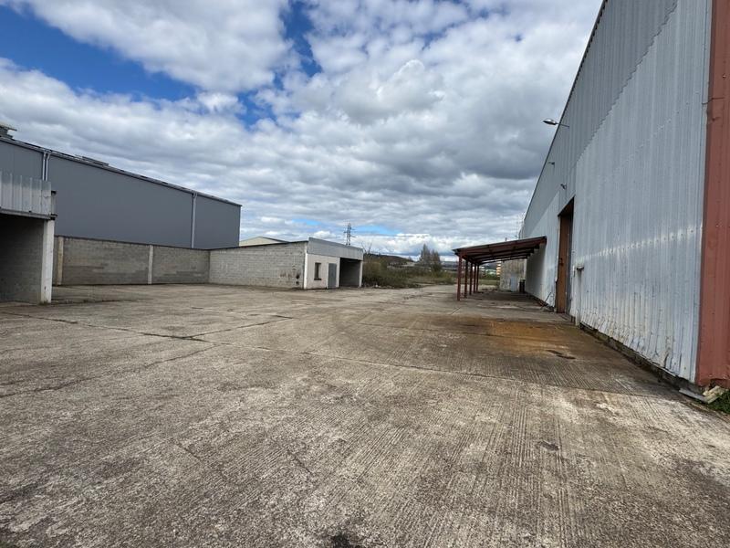 Entrepôt - 2 800 m² - 9 pièces