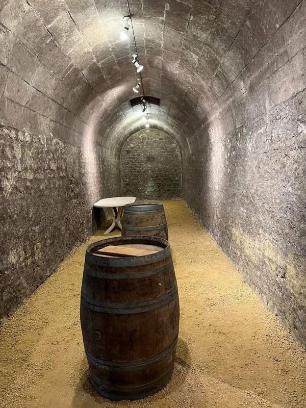 Manoir - 800 m² - 15 pièces