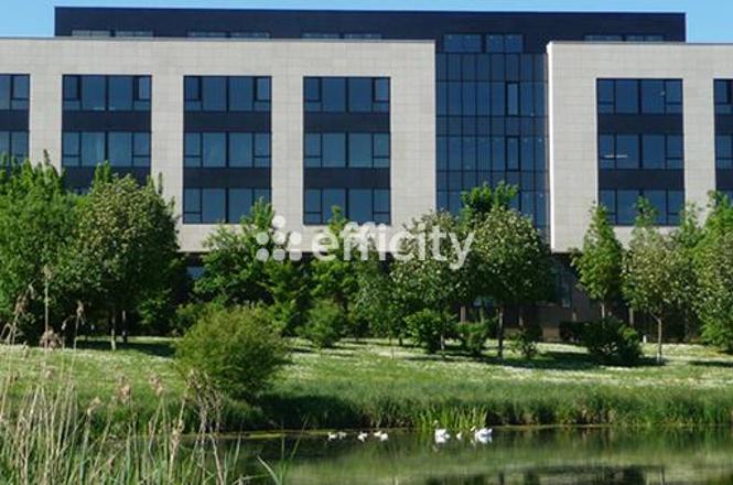 Bureau - 50 m² - 1 pièce