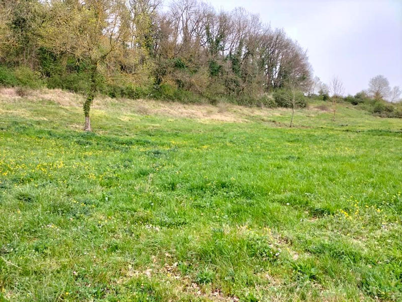 Terrain constructible - 3 495 m²