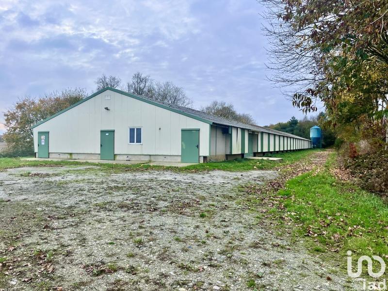 Local commercial - 1 200 m²