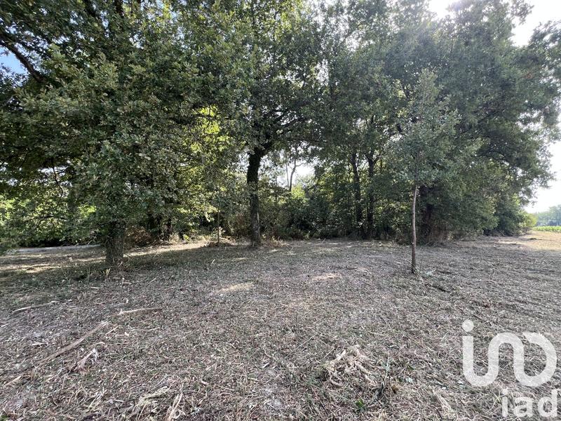 Terrain - 11 204 m²