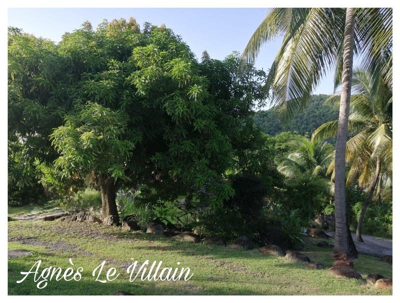 Propriété - 550 m² - 28 pièces