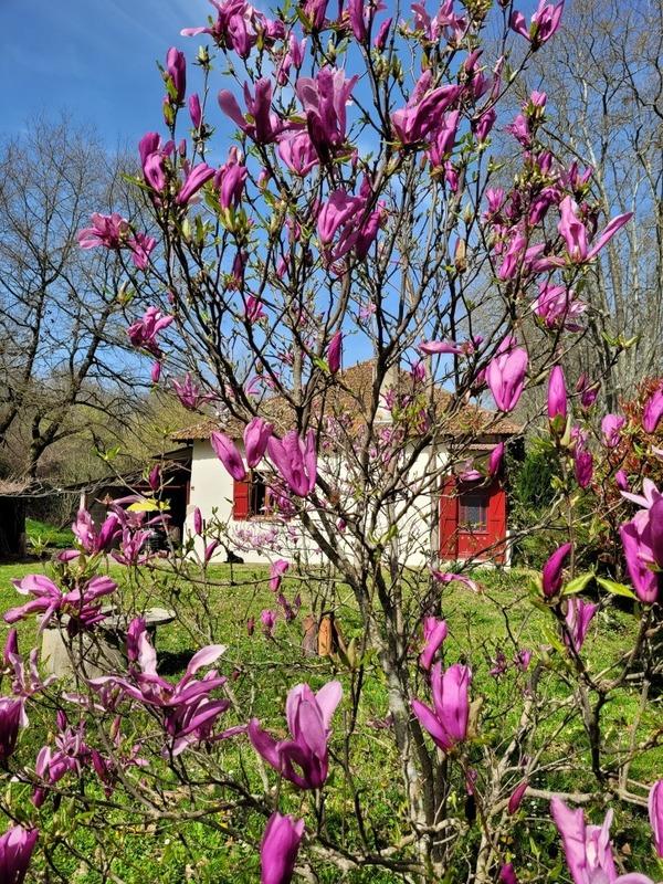 Maison - 90 m² - 3 pièces