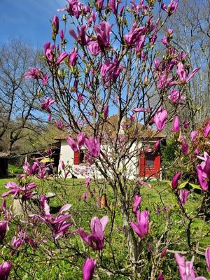 Maison - 90 m² - 3 pièces