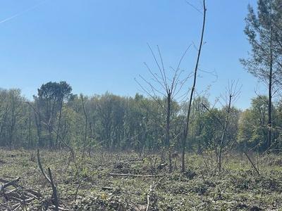 Terrain agricole - 55 394 m²