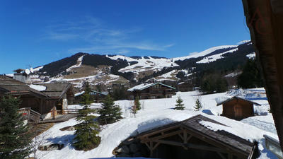 Châlet - 391 m² - 8 pièces