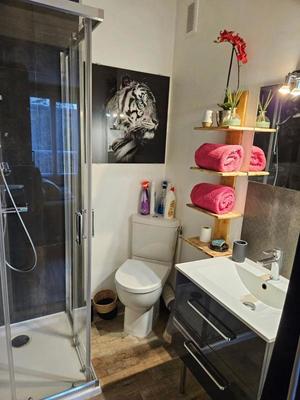 Studio - 21 m² - 1 pièce