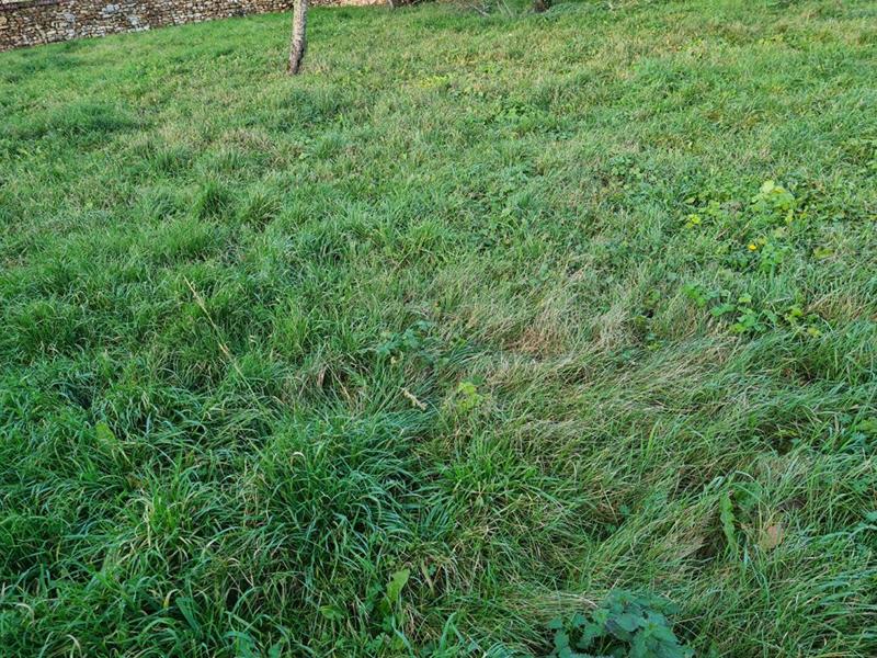 Grange - 62 m² - 4 pièces