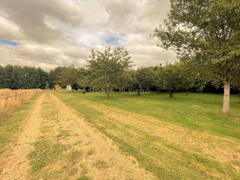 Maison de domaine équestre - 345 m² - 7 pièces