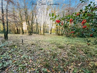Terrain constructible - 1 445 m²
