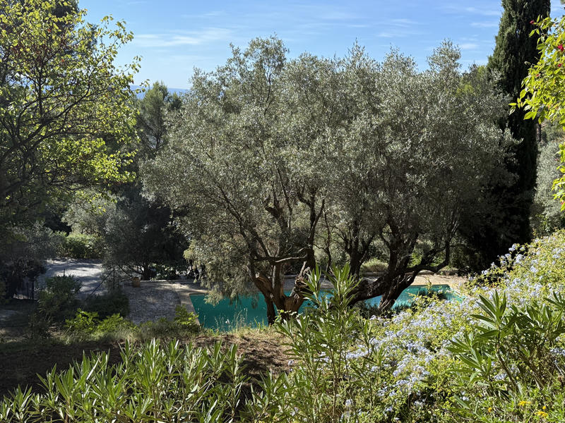 Propriété - 170 m² - 6 pièces