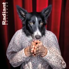 Ouiiiii - Compagnie des Plumés - le Radiant - Caluire