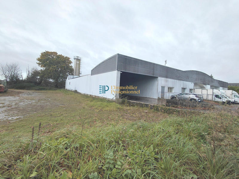 Local d'activités - 1 800 m²