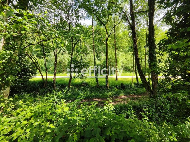 Immeuble - 1 000 m²