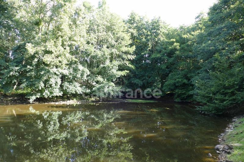 Maison - 30 m² - 2 pièces