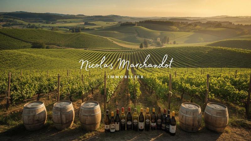 Local commercial - 130 900 m²