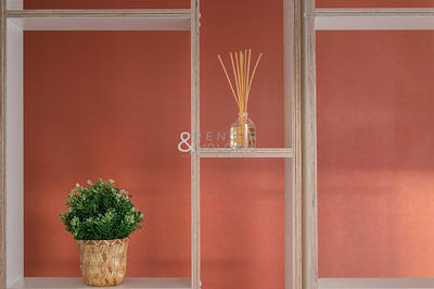 Appartement - 30 m² - 1 pièce