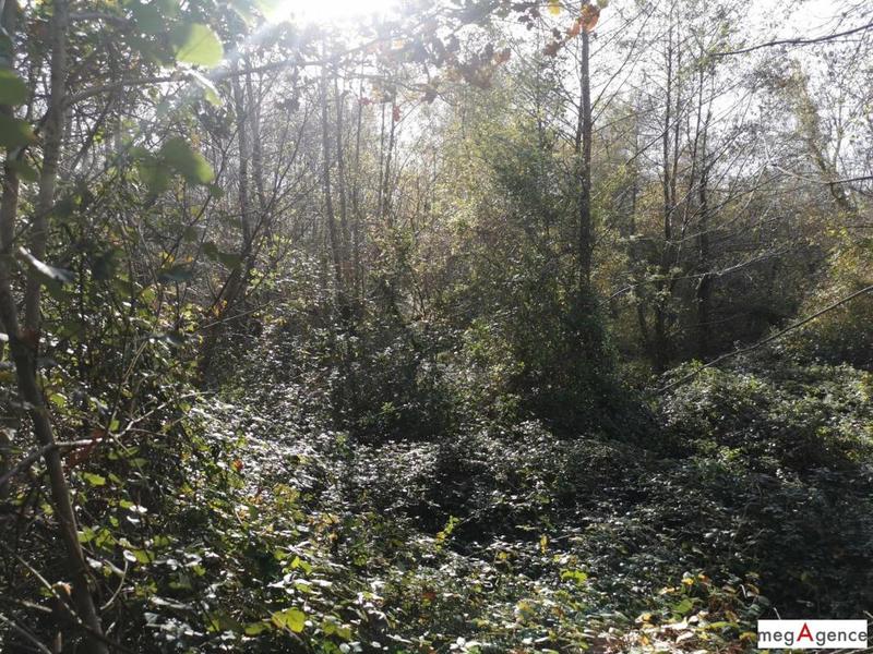 Terrain de loisirs - 18 204 m²