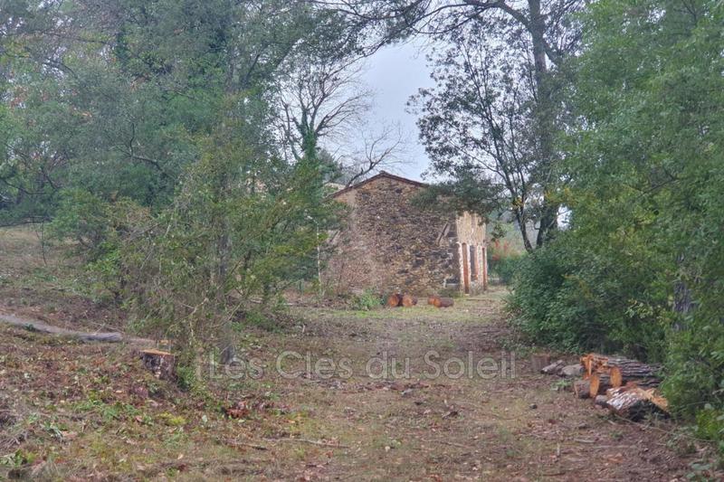 Maison en pierre - 55 m² - 3 pièces