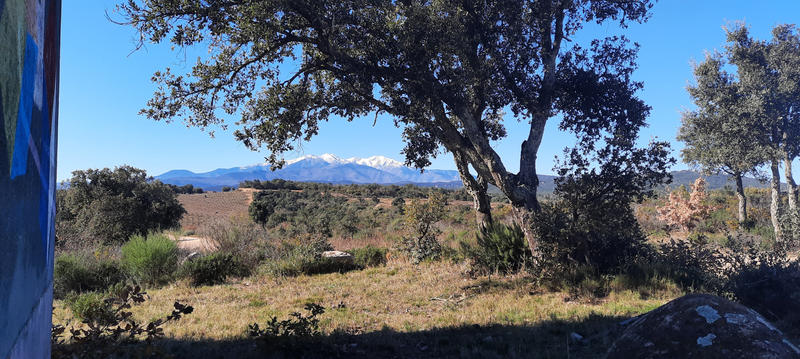 Terrain de loisirs - 10 625 m²