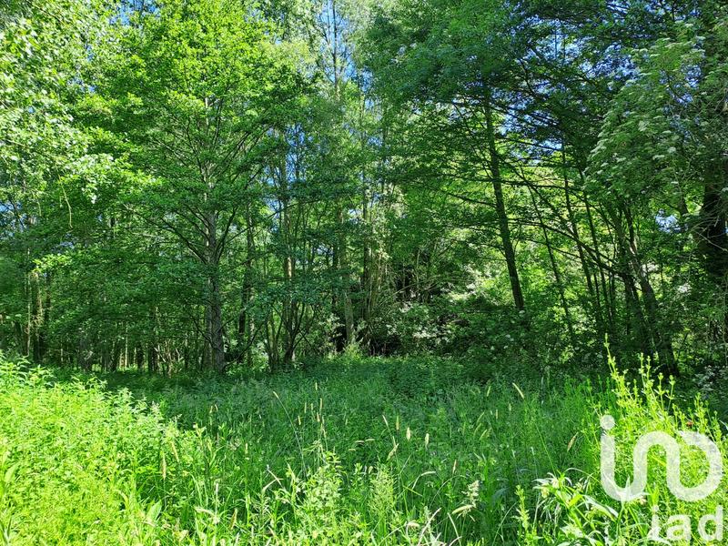 Maison - 148 m² - 6 pièces