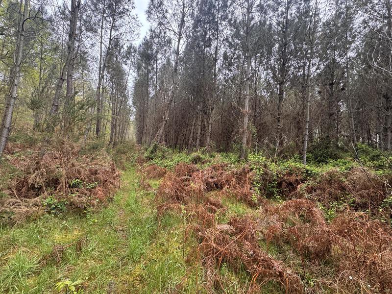 Terrain - 48 400 m²