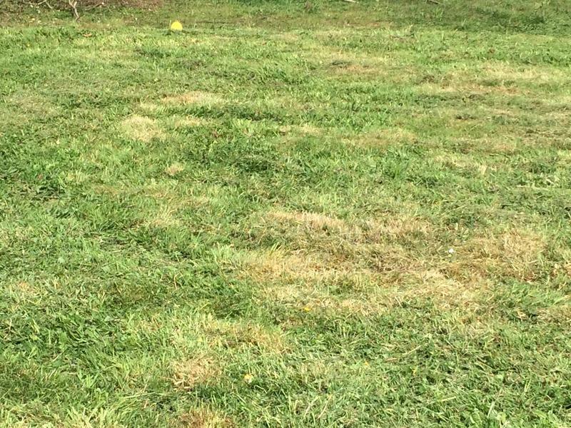 Terrain constructible - 604 m²