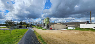 Local d'activité / Entrepôt - 2 400 m² - 2 pièces