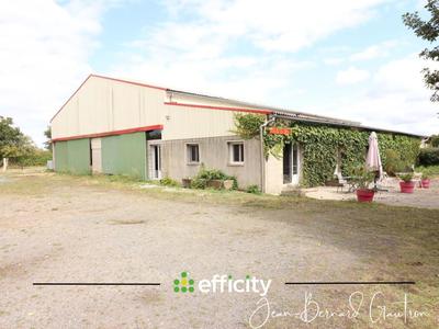 Maison de domaine équestre - 90 m² - 4 pièces