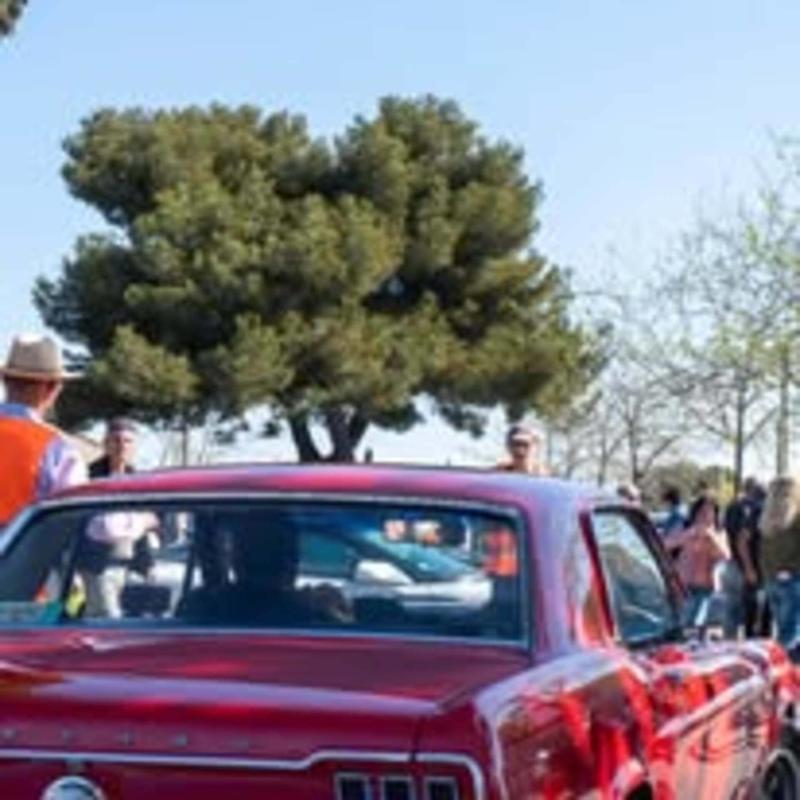 Rassemblement de véhicules anciens et de prestige