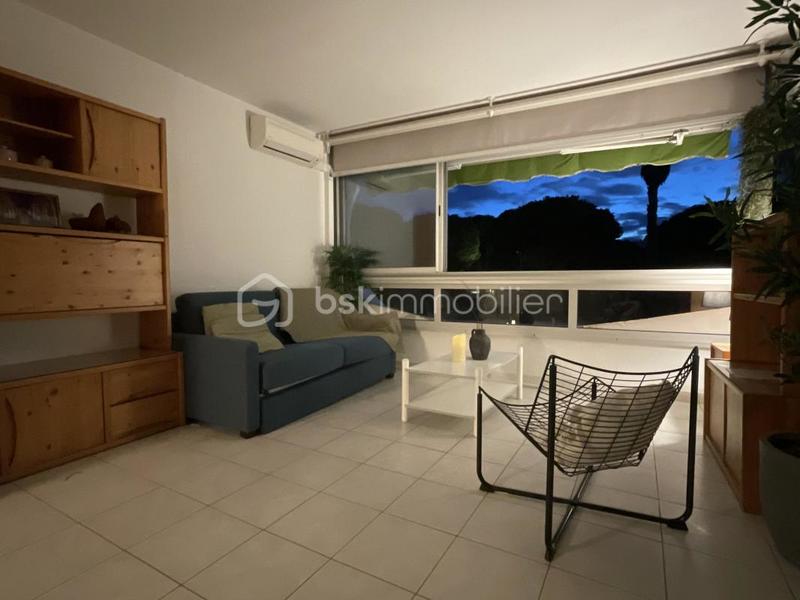 Studio - 24 m² - 1 pièce