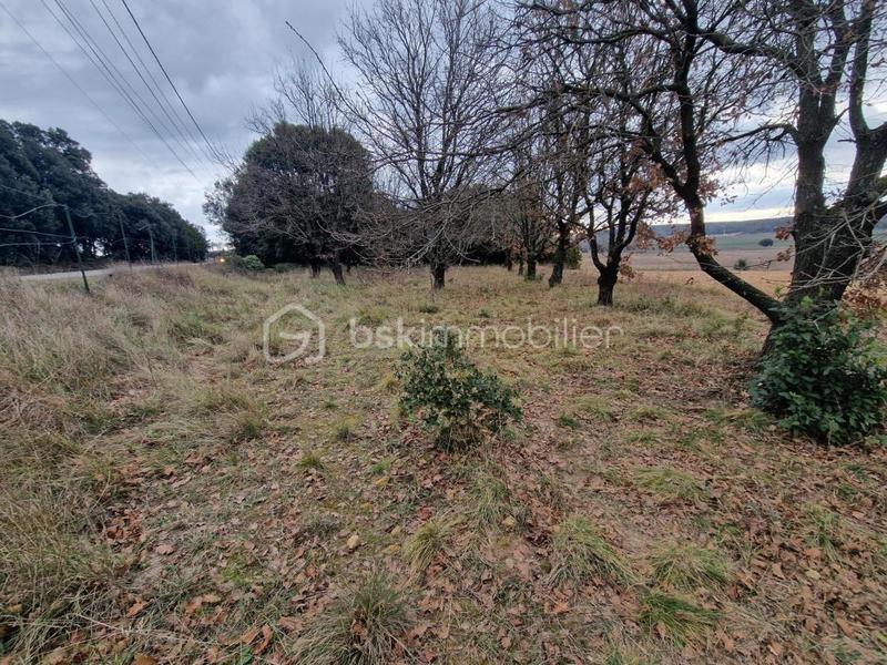 Terrain agricole - 2 380 m²