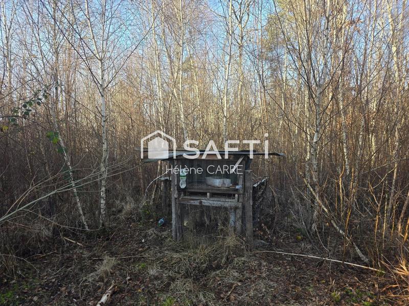 Maison - 237 m² - 11 pièces