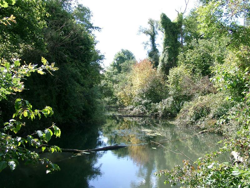 Visite de la réserve naturelle nationale d'Offendorf : Protection et gestion des forêts rhénanes