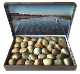 Les Coques de Cabourg