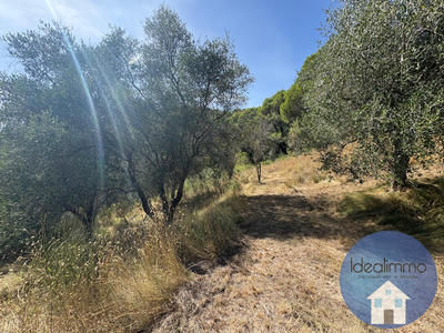 Terrain de loisirs - 20 000 m²